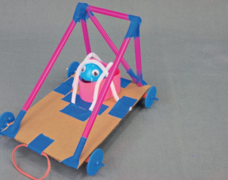 Cairns Home School STEM (N)