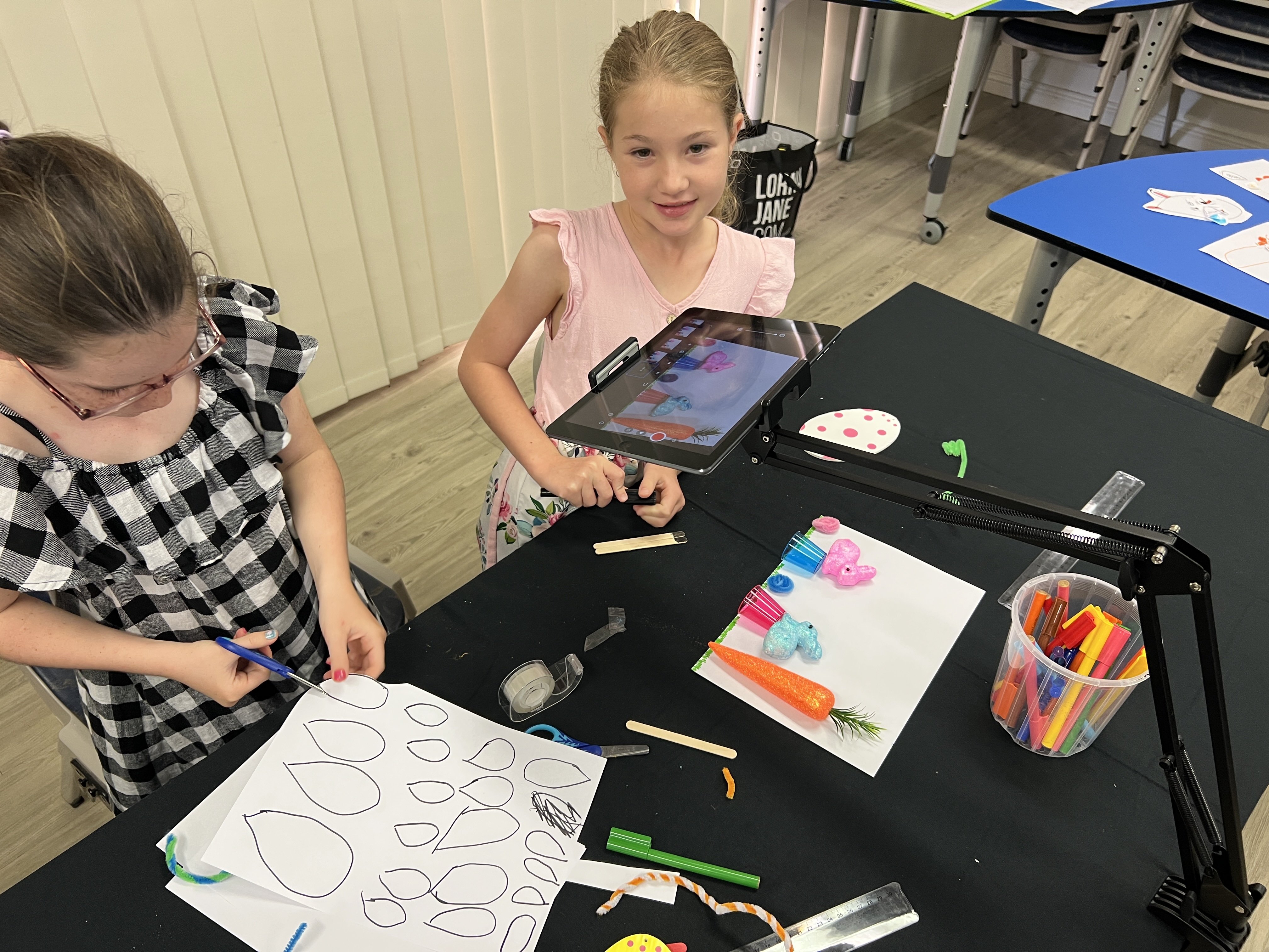 Tablelands Stop Motion Workshops